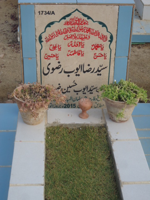 11734 – Syed Raza Ayoub Rizvi