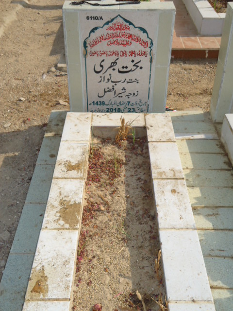 16110 – Bakth Bhari