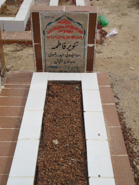 13537 – Tanveer Fatima