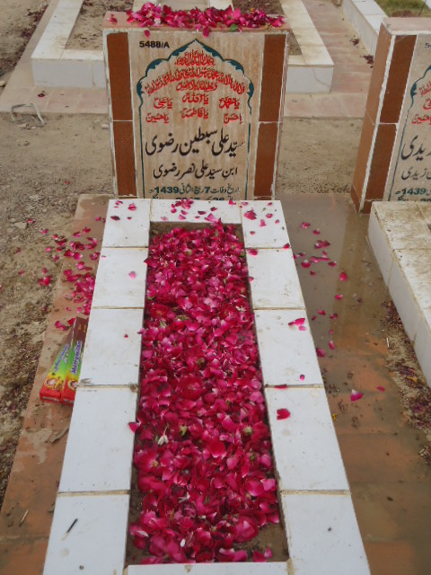15488 – Syed Ali Sibtain Rizvi