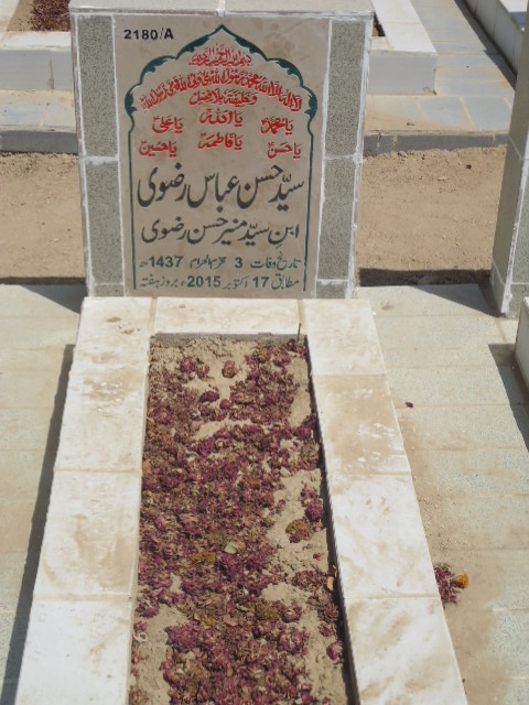 12180 – Syed Hasan Abbas Rizvi