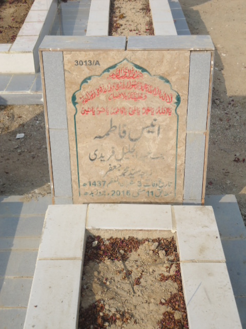 13013 – Anees Fatima