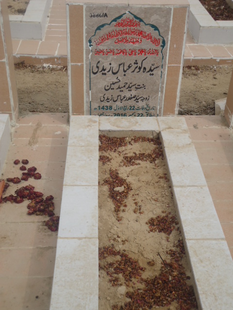 13886 – Syed Kausar Abbas Zaidi
