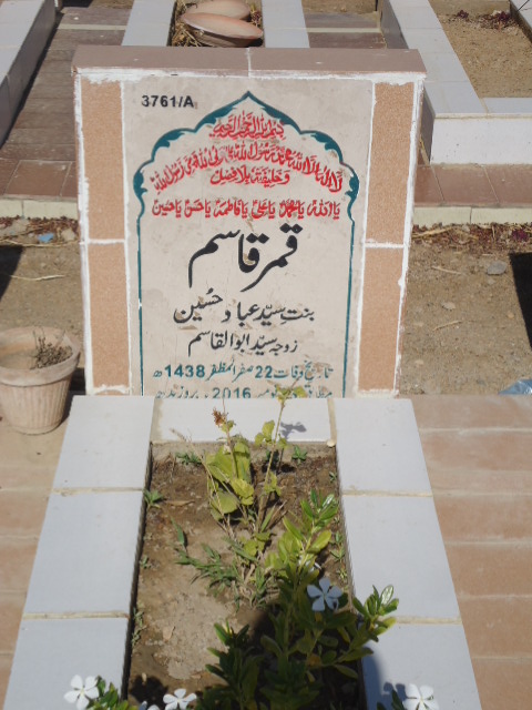 13761 – Qamar Qasim