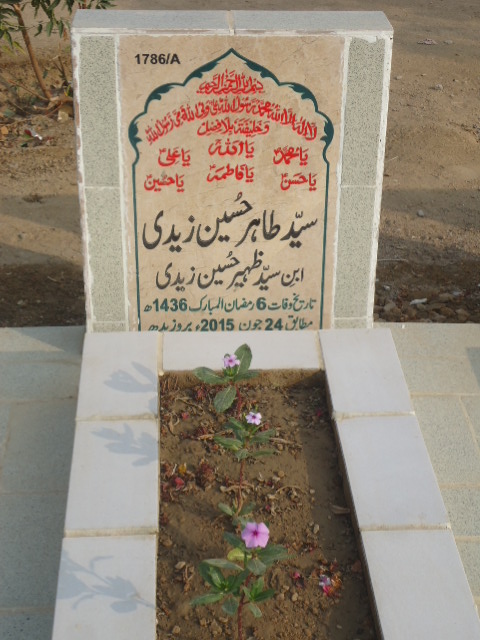 11786 – Syed Tahir Hussain Zaidi