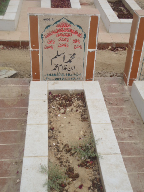 14002 – Muhammad Aslam