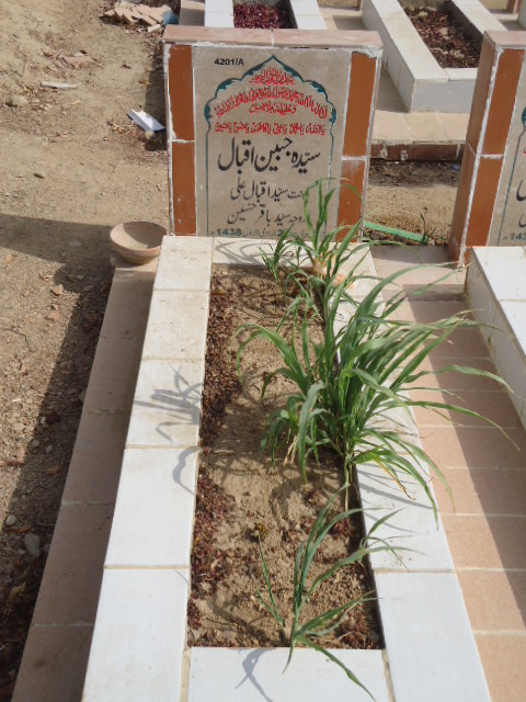 14201 – Syeda Jabeen Iqbal
