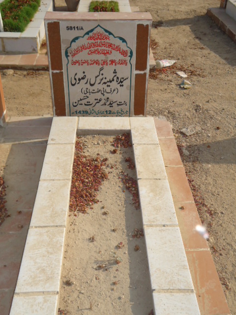 15811 – Syeda Samina Nargis Rizvi