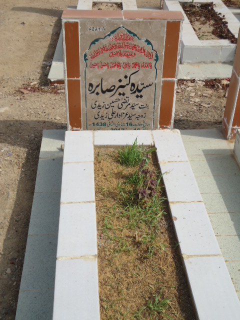 14291 – Syeda Kaneez Sabira