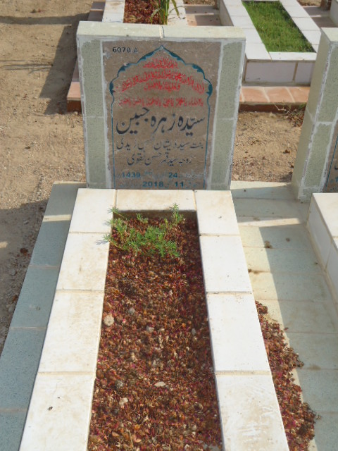 16070 – Syeda Zehra Jabeen
