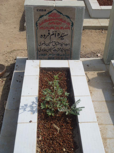 12359 – Syeda Ummay Farwa