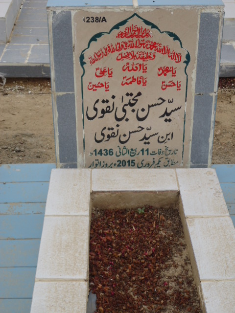 11238 – Syed Hasan Mujhtaba Naqvi
