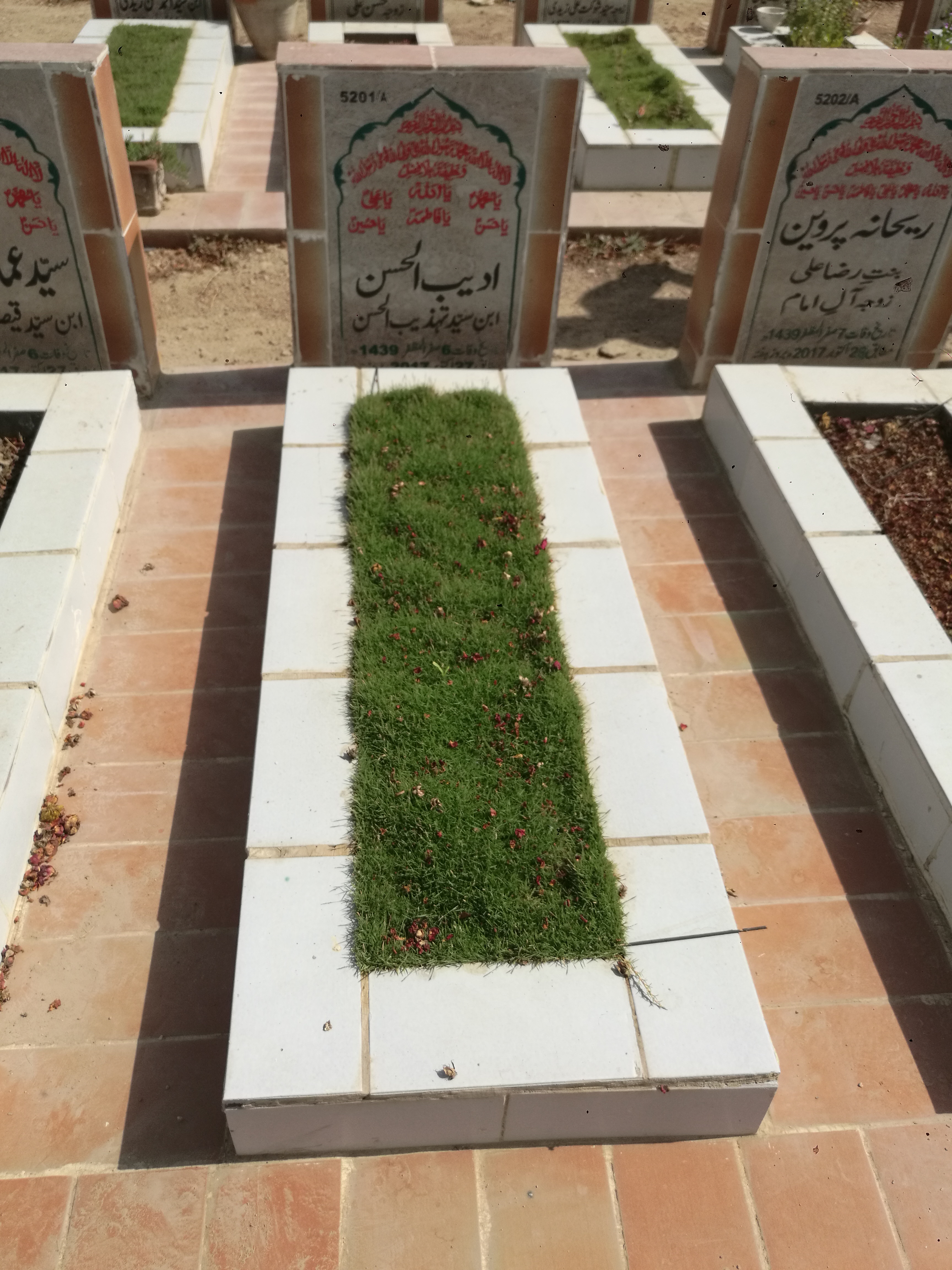 15201 – Adeeb Ul Hassan