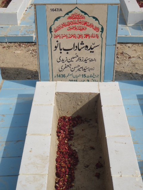 11647 – Syeda Shadab Bano