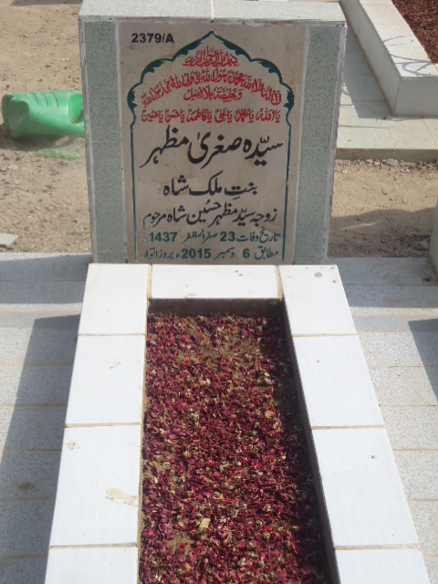 12379 – Syeda Sughra Mazhar