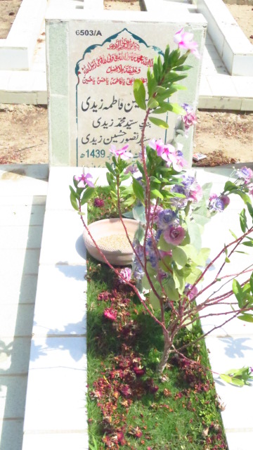 16503 – Syeda Taskeen Fatima Zaidi