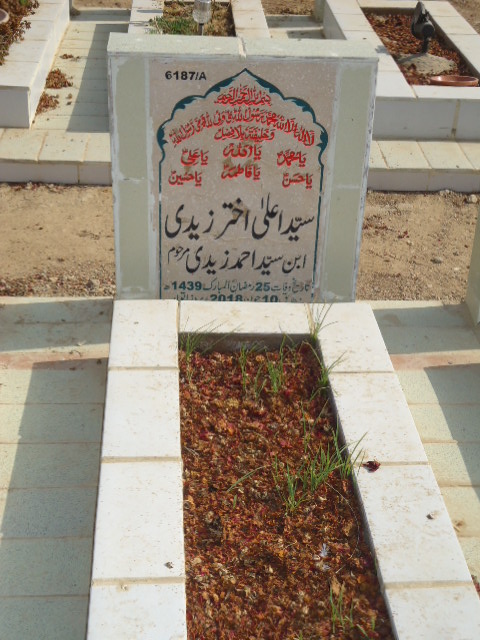 16187 – Syed Alay Akhtar Zaidi