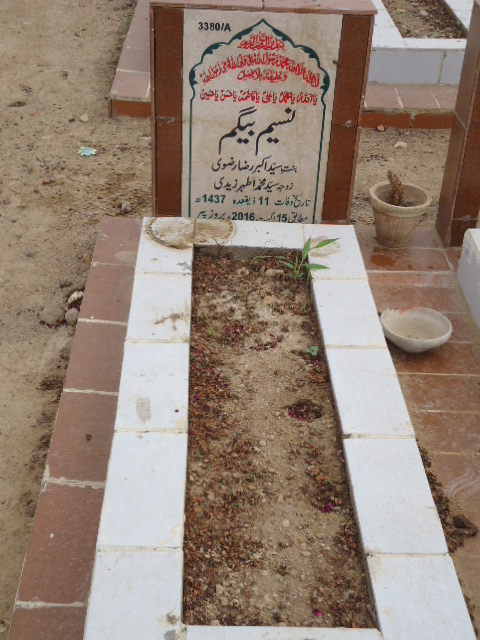 13380 – Naseem Begum