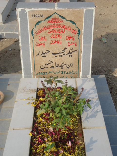 13103 – Syed Mujeeb Haider