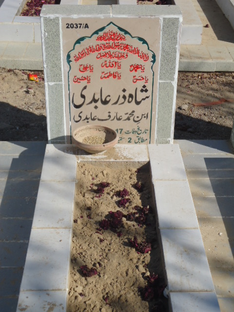 12037 – Shahzar Abidi