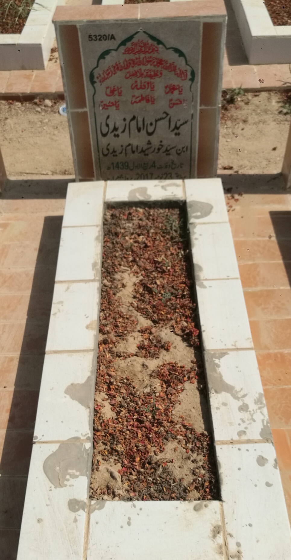 15320 – Syed Hassan Imam Zaidi
