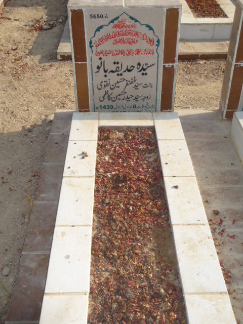 15650 – Syeda Hadiqa Bano