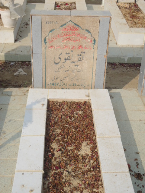 12897 – Taqaiya Naqvi