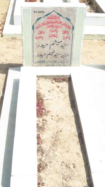 16510 – Syed Meesum Haider