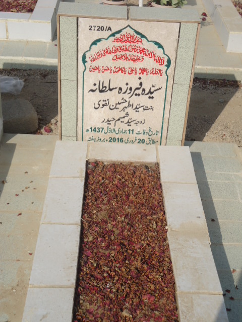 12720 – Syeda Feroza Sultana