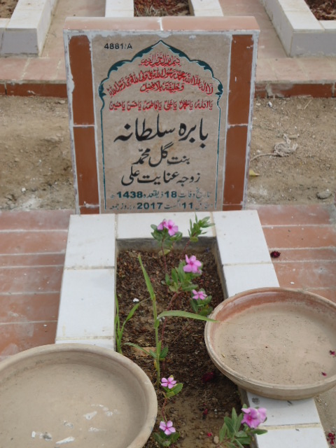 14881 – Babra Sultana