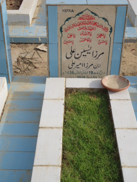 11377 – Mirza Yaseen Ali