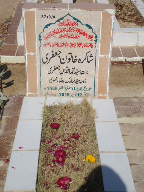 13719 – Shakira Khatoon Jaffery