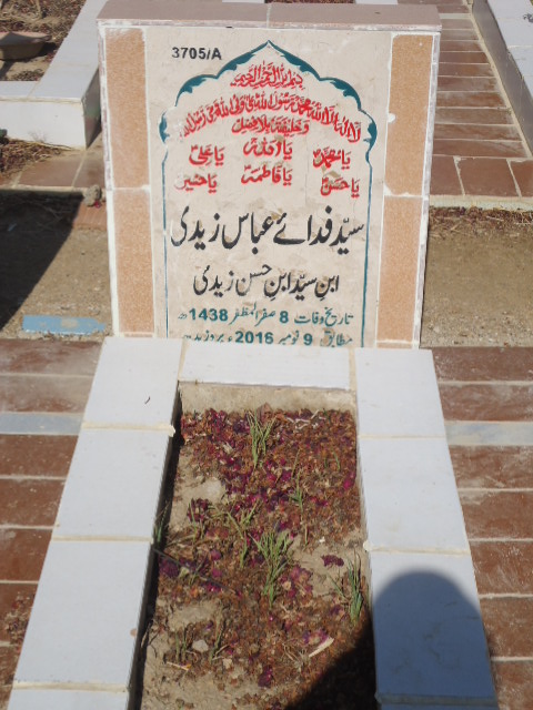13705 – Syed Fida E Abbas Zaidi