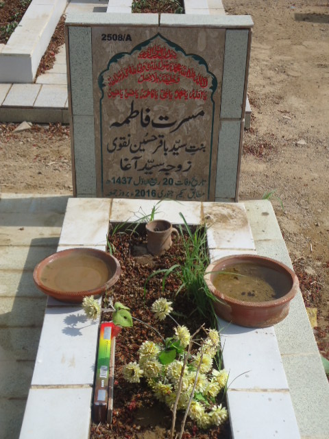 12508 – Mussrat Fatima