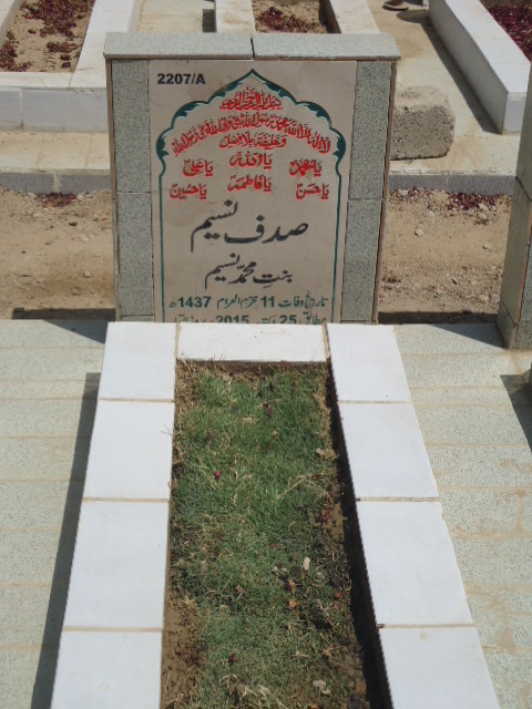 12207 – Sadaf Naseem