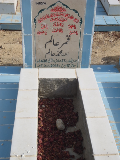 11485 – Qamar Alam