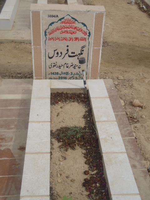 13804 – Nighat Firdous
