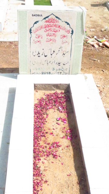 16439 – Syed Zafar Abbas Zaidi