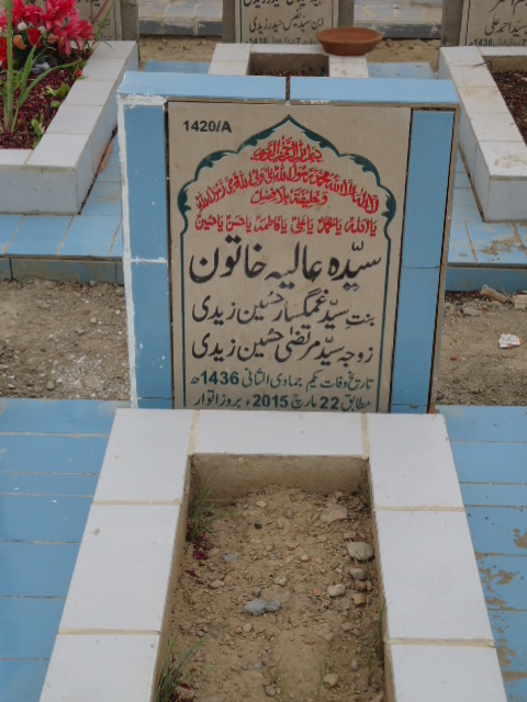 11420 – Syeda Aliya Khatoon