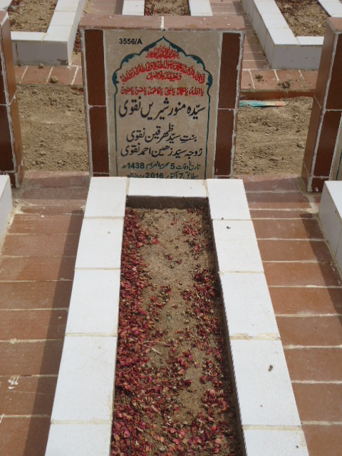 13556 – Syeda Munawar Shree Naqvi