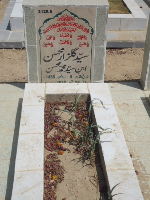 12125 – Syed Gulzar Mohsin