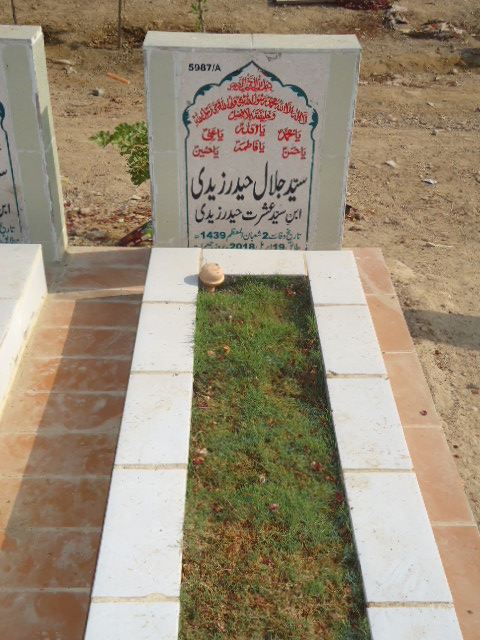 15987 – Syed Jalal Haider Zaidi