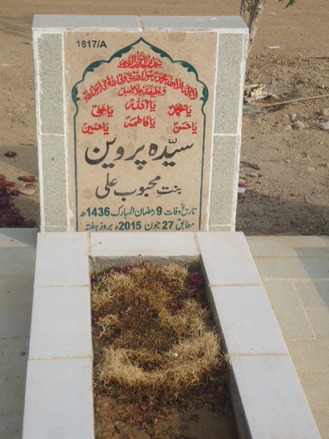 11817 – Syeda Parveen