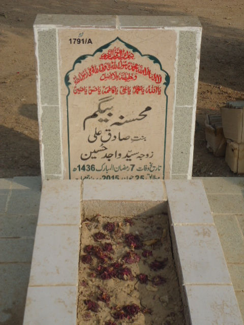 11791 – Mohsina Begum