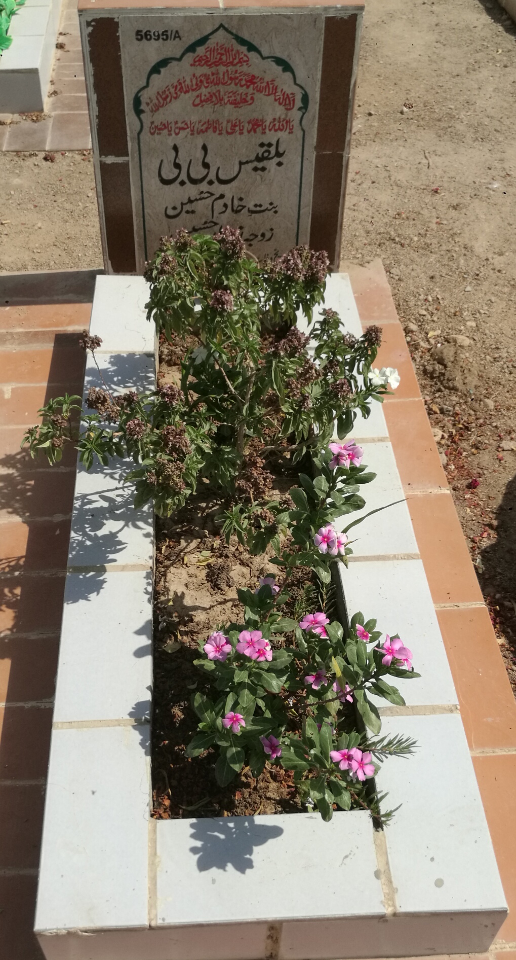 15695 – Bilquees Bibi