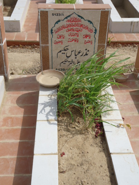 15123 – Nazar Abbas Hakeem
