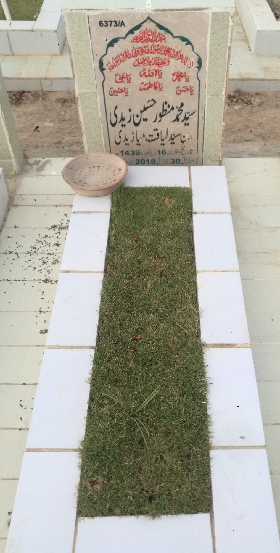 16373 – Syed Muhammad Manzoor Hussain Zaidi