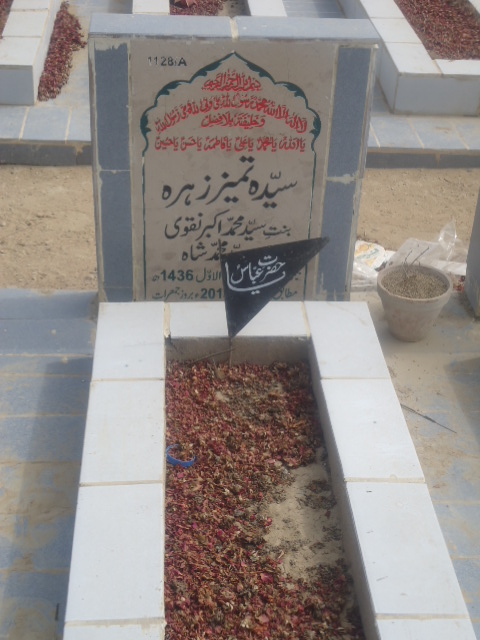 11128 – Syeda Tameez Zehra