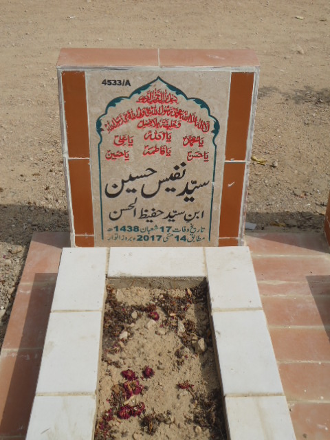 14533 – Syed Nafees Hussain