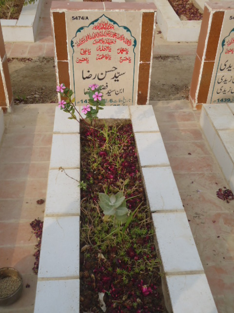 15474 – Syed Hassan Raza